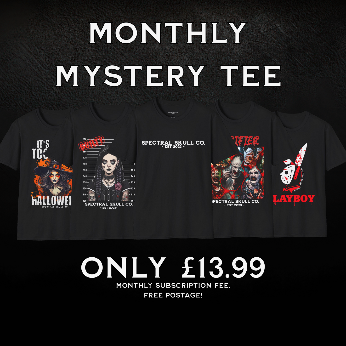 Monthly Mystery Tee Shirt